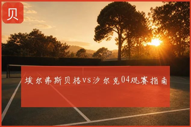 埃尔弗斯贝格vs沙尔克04观赛指南