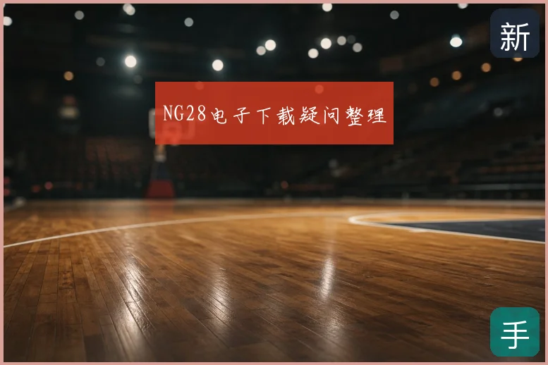 NG28电子下载疑问整理